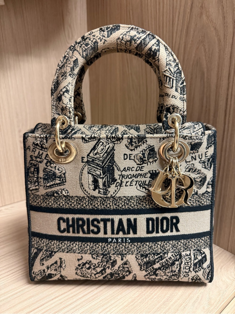 Dior Lady D-Lite Medium Plan De Paris Bag